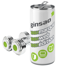 ginsao-marque-web-edition-94-vitalite