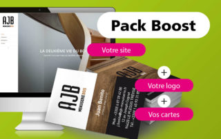 pack-boost-creation-logo-site-web-94-ginsao