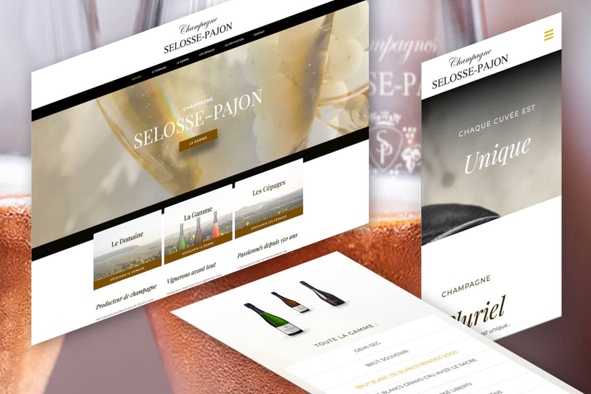 refonte-site-internet-champagne-selosse-pajon-agence-web-ginsao-6